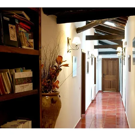 Rurales Victor Chamorro Del Arco * 헤바스