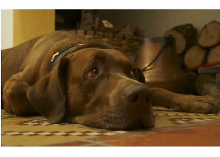 Rurales Victor Chamorro Del Arco Appartement